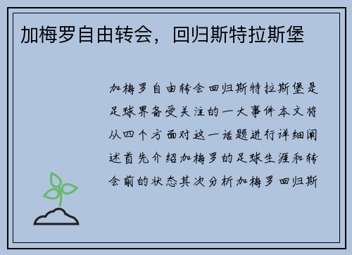 加梅罗自由转会，回归斯特拉斯堡